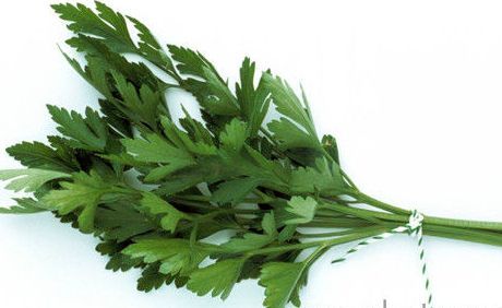 Balkan-Ernährungswissenschaftler haben eine hochwirksame grüne Diät vorgeschlagen