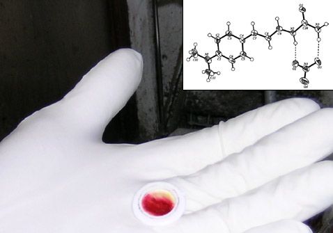 Hautzellspray hat sich bei der Behandlung von trophischen Geschwüren als wirksam erwiesen