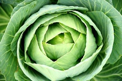 Kohl kann helfen, Nebenwirkungen nach einer Strahlentherapie zu reduzieren