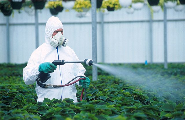 Nanopestizide: Neue Lösung oder neue Bedrohung?