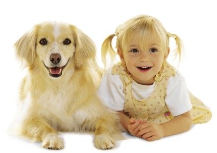 Bei Hunden gefundene Bakterien können Asthma vorbeugen