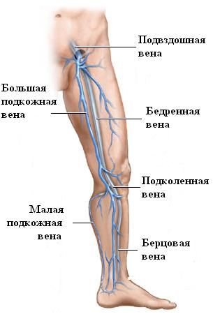 Fußzirkulation