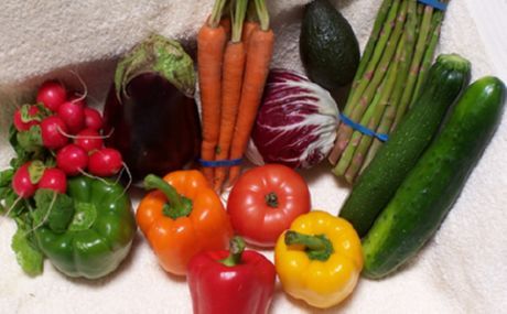 Welche Lebensmittel verursachen Appetit?