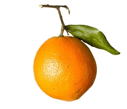 Top 10 Lebensmittel für strahlende und gesunde Haut