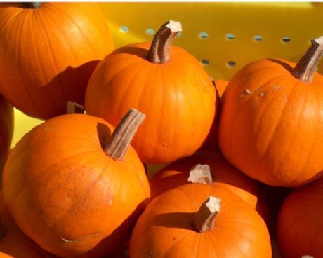 Die 7 gesündesten Herbstprodukte