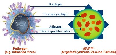 Ein komplexer synthetischer Impfstoff auf Basis von DNA-Molekülen wurde entwickelt