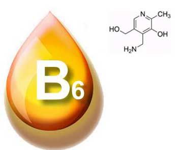 Grundlegende Informationen über Vitamin B6